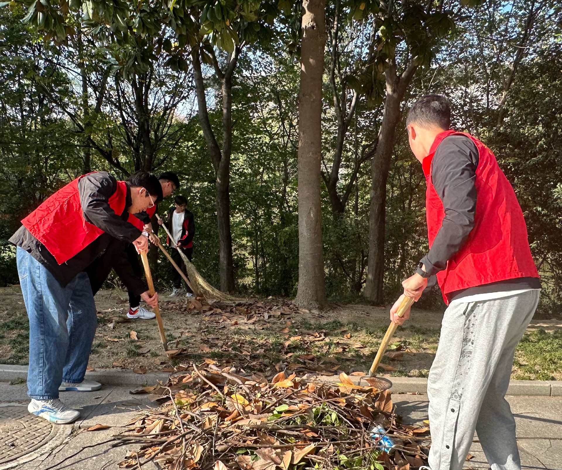 1698745407179699.jpg 1698745407179699.jpg