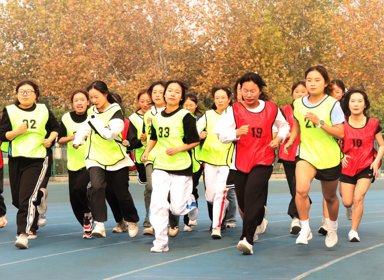 1700726592774231.jpg 1700726592774231.jpg