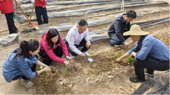 工商管理学院开展 “躬耕田园，育梦成长” 劳动教育实践活动