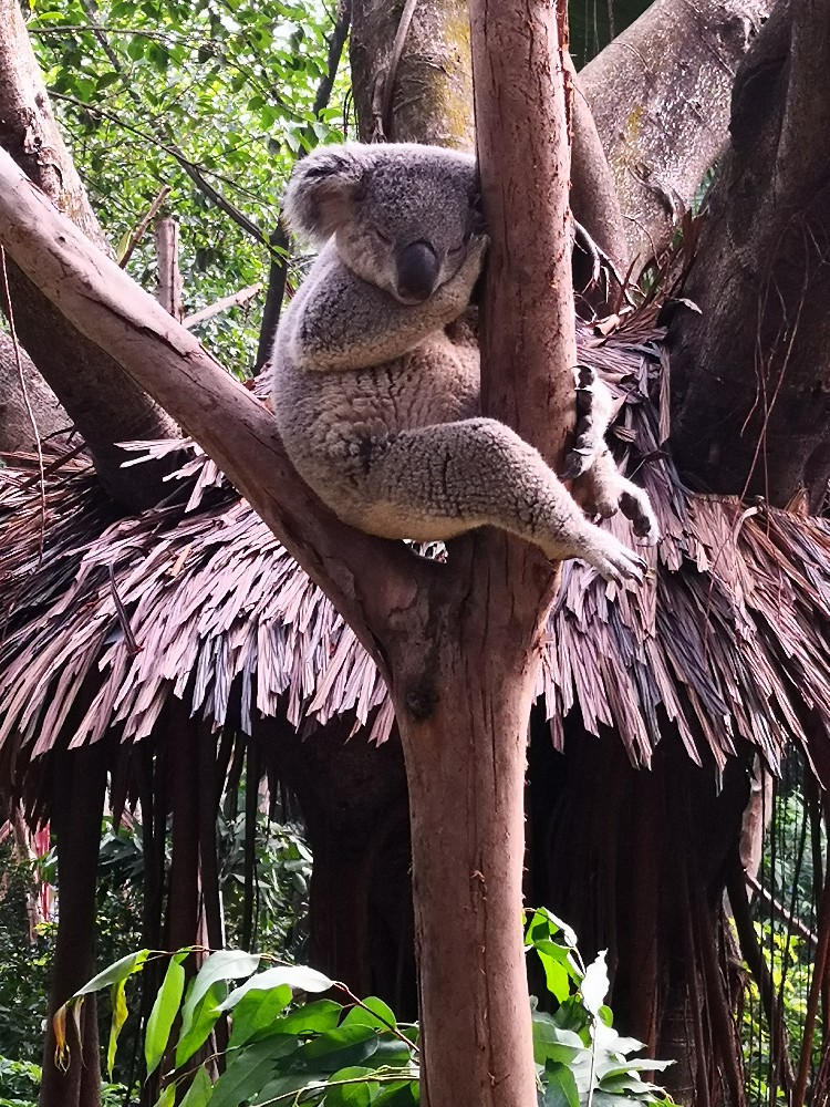 庆三八巾帼建功新时代、展望“十四五”奋进新征程 ---工商管理学院三八妇女节活动